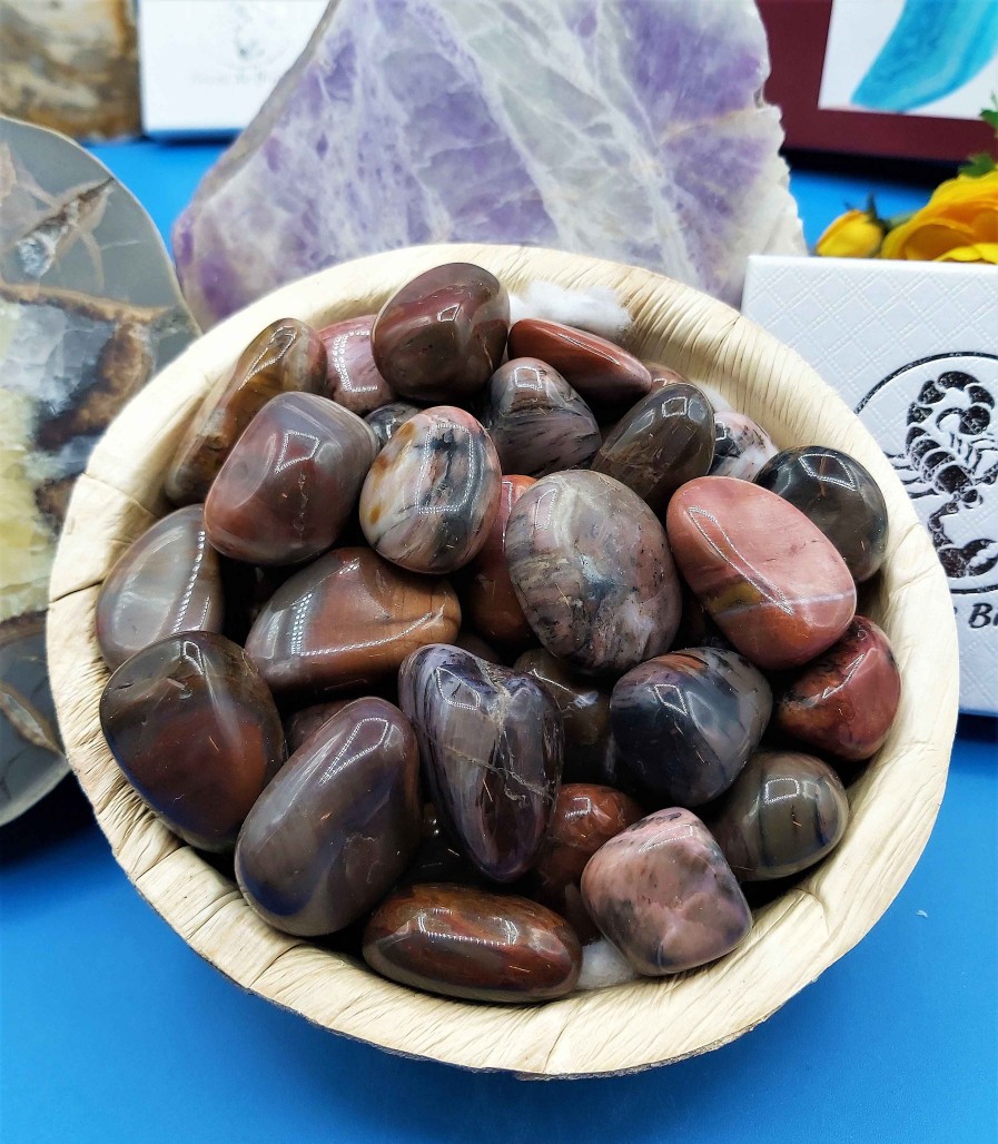 Pierres reve de bijoux | Pierres Roul Es De Bois Fossilis (Cristallis Ou Silicifi Ou P Trifi )