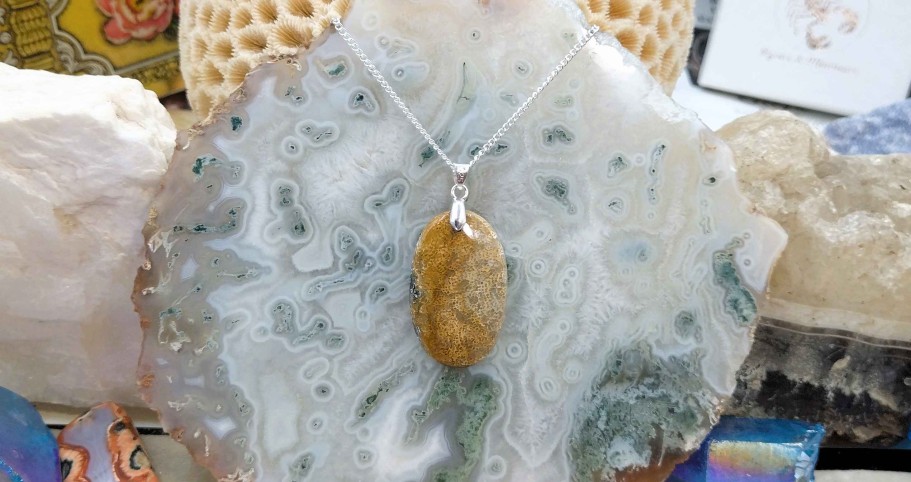 Colliers & Pendentifs reve de bijoux | Corail Fossile