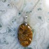 Colliers & Pendentifs reve de bijoux | Agate Fossile