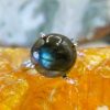 Bagues reve de bijoux | Bague Labradorite