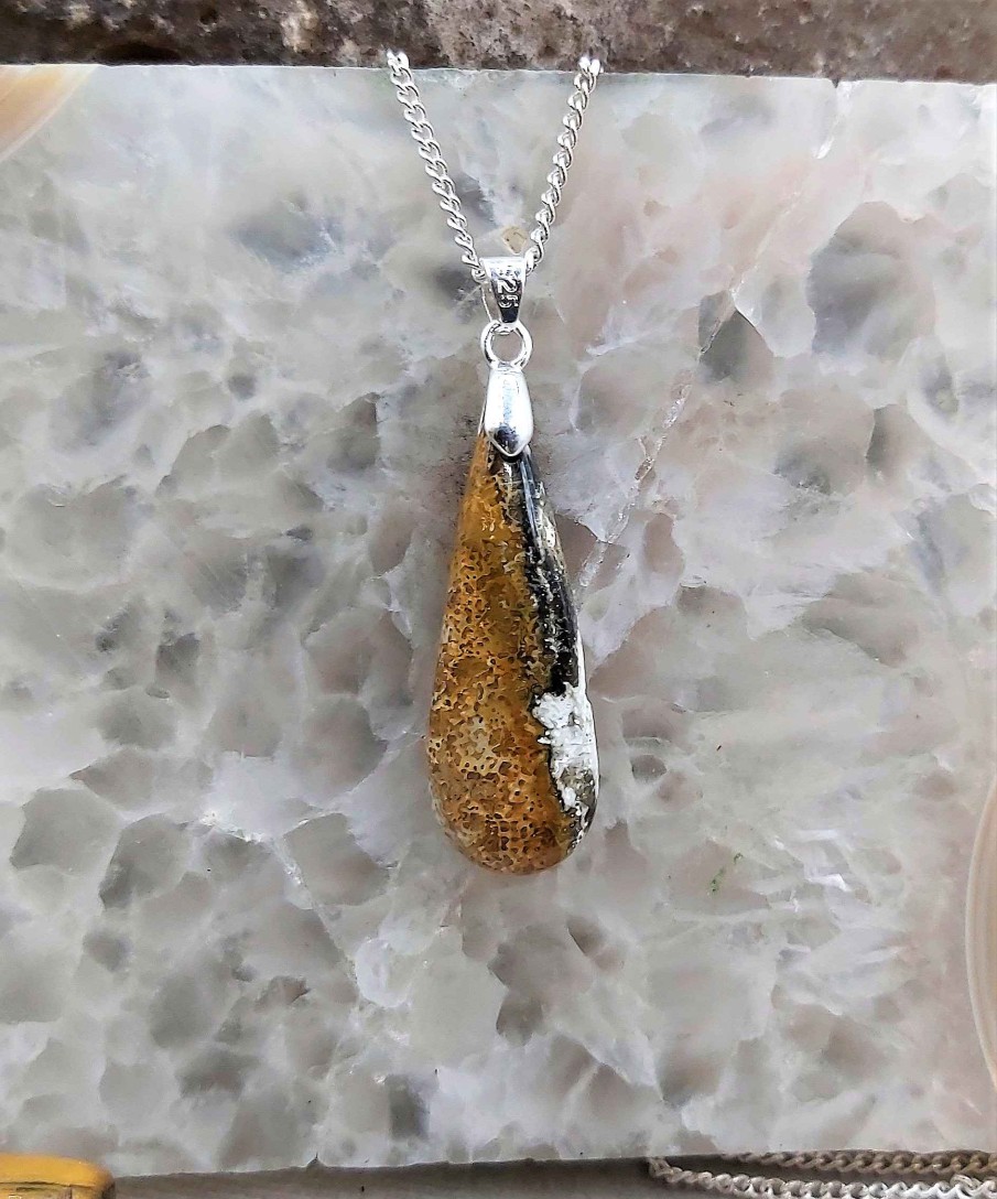 Colliers & Pendentifs reve de bijoux | Tr S Joli Petit Corail Fossile